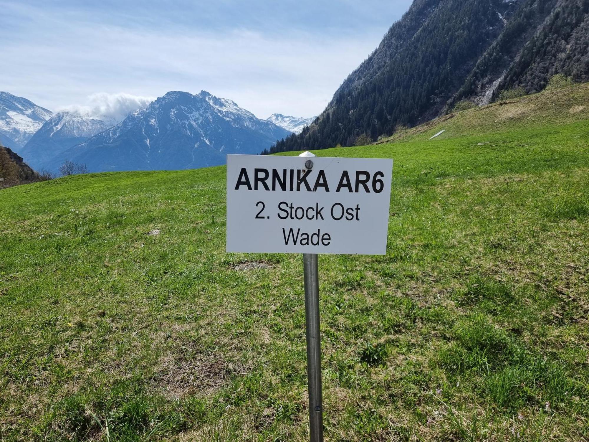 Arnika Apartment บลาทเทน ไบ นาเทอร์ส ห้อง รูปภาพ