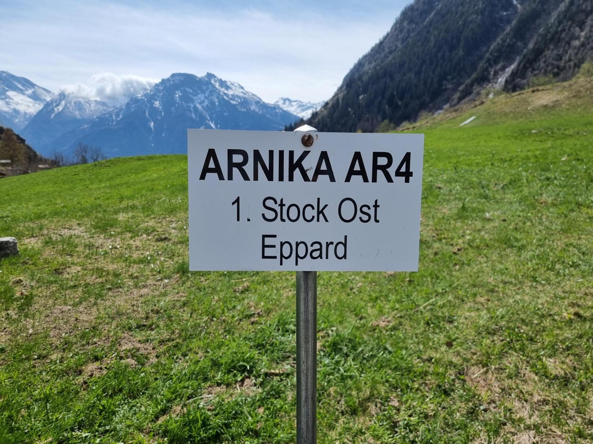 Arnika Apartment บลาทเทน ไบ นาเทอร์ส ห้อง รูปภาพ